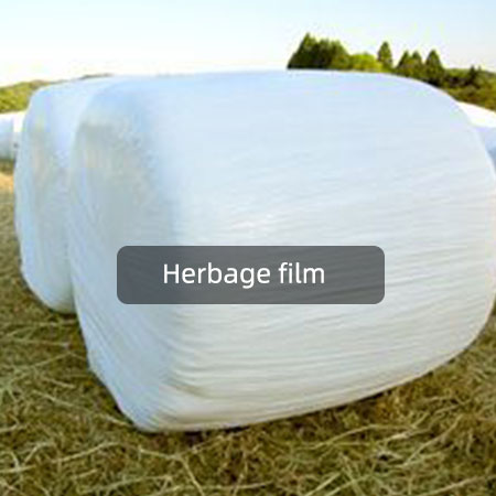 Herbage film
